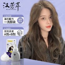 HANFANGCUI bubble hair dye plant-based hair dye popular trendy color pure and mild for men and women