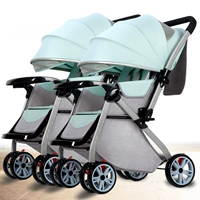 Продвинутые модели разделяют близнецы и зеленые близнецы