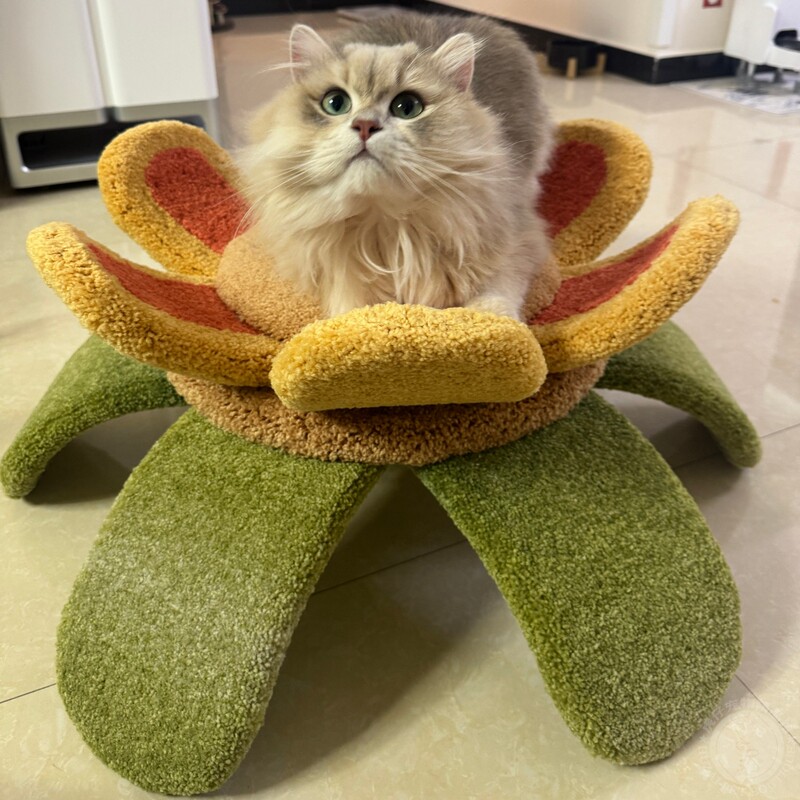 Camily Sunflower Cat Bed Cat Nest Pet Sleeping Bed Cat Castle Cat Climbing Frame Wear-Resistant Cat Toy Free Shipping