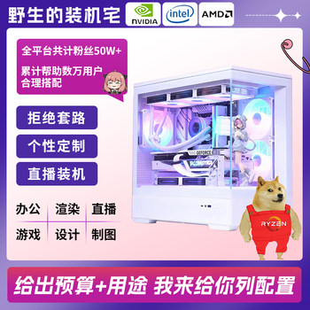 Wild assembler diy computer assembly machine e-sports