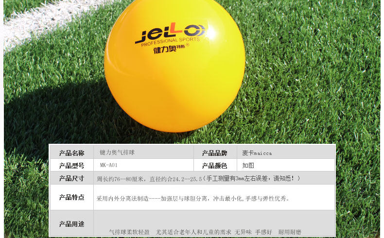 Ballon de volley-ball - Ref 2012024 Image 7