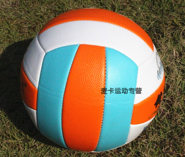Ballon de volley - Ref 2016714 Image 4