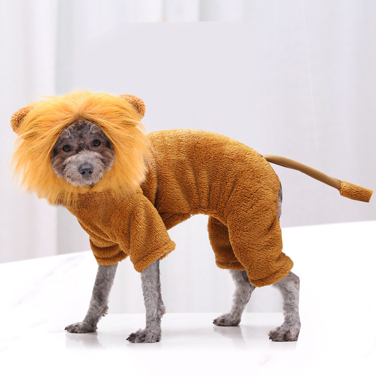 Dog funny lion turned flannel warm four-foot clothes pets cute and funny photograph autumn and winter clothes