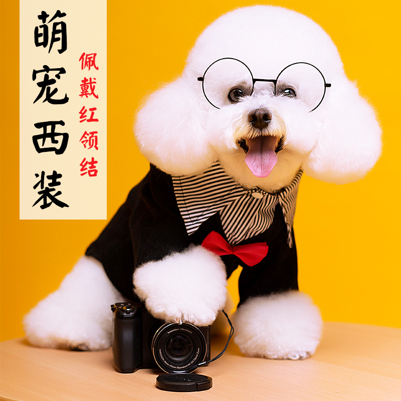 Pet dog suit dress thin cat wedding bow tie suit Teddy Bichon Schnauzer spring summer autumn clothes