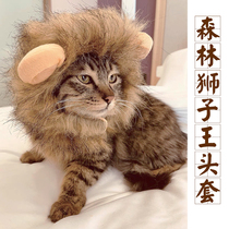 Dog cat lion headgear cat hat cute funny funny pet wig photo props transformation decoration