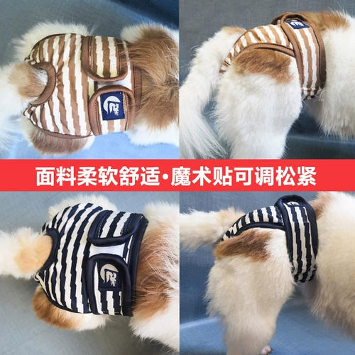 Pet Dog Тонкие физиологические штаны Corki Akita Fat Teddy Safe Menbei Планы разбиты беременные брюки.