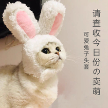 Cat headgear pet cap dog headdress cute funny rabbit dog accessories funny cat hat supplies rabbit ears