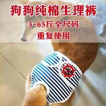 Pet dog cotton pants Kirky Akita Dow Teddy safety menstrual pants bitch anti-pregnancy aunt pants