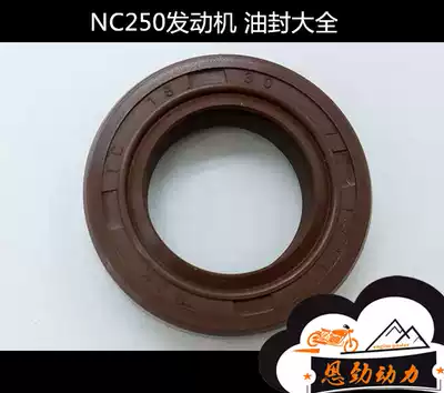 Zongshen NC250 engine crankshaft countershaft shift arm start shaft balance shaft clutch oil seal water seal
