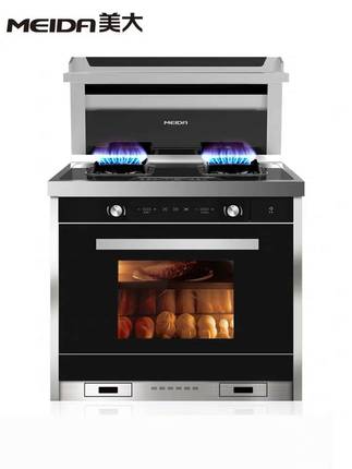 Beauty Grand Integrated Foci Fashion Milan Steam Box