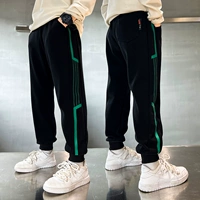 KZ1601 Черная весна и осень