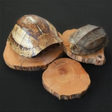 Тайханг Клифф Кипарис Сырь