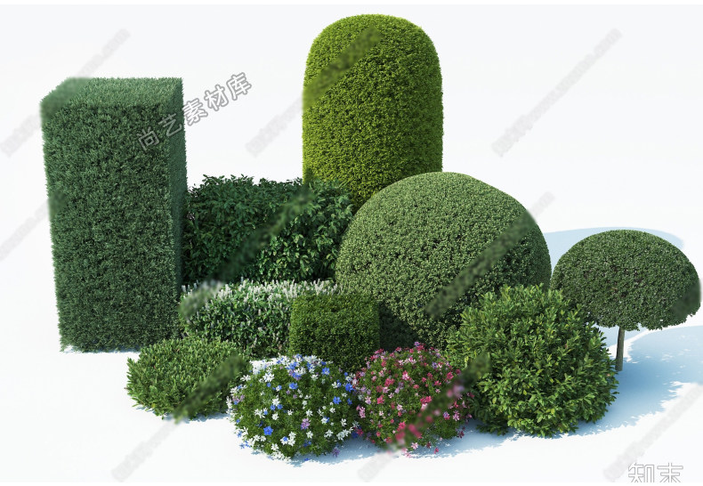 图片[5]-2023园林景观庭院植物花草树木绿篱乔木花卉灌木丛草图大师SU模型-cg男孩