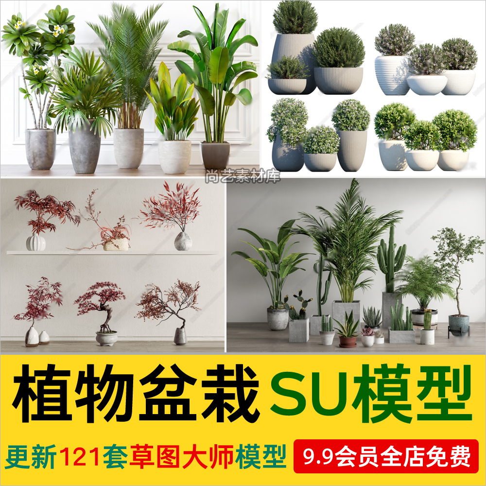 绿植植物花卉盆栽盆景松树单体草图大师SU模型室内花盆花草素材-cg男孩