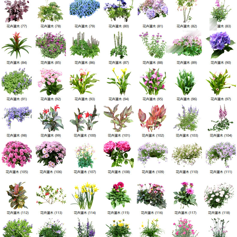 图片[18]-2023园林景观庭院植物花草树木绿篱乔木花卉灌木丛草图大师SU模型-cg男孩