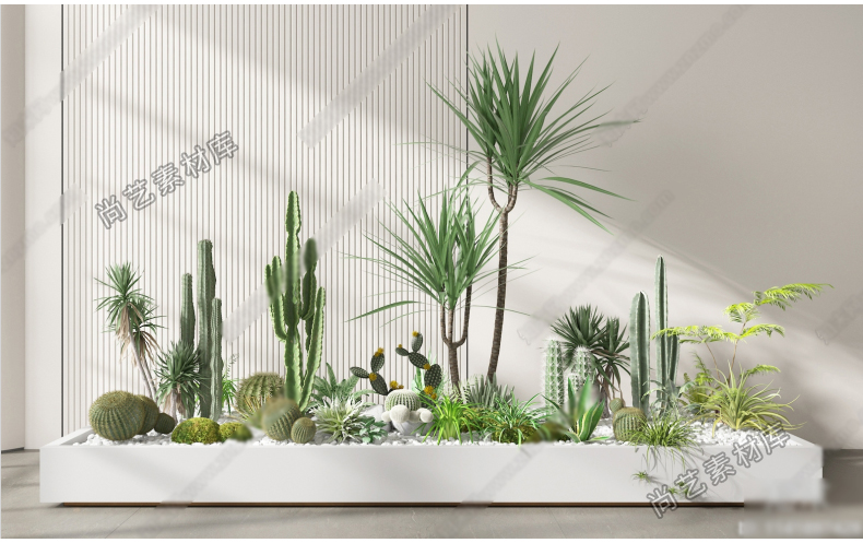 图片[8]-仙人掌仙人球植物堆SU模型热带仙人掌绿植造景多肉植物SU草图大师-cg男孩