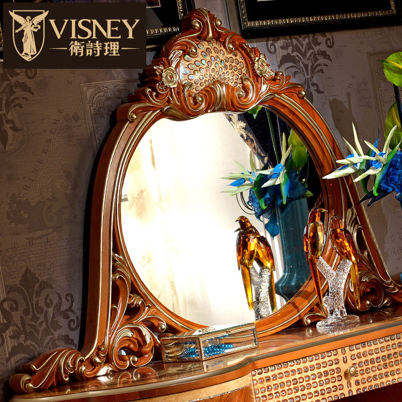 Visneyʵľ����ױ��10008W8