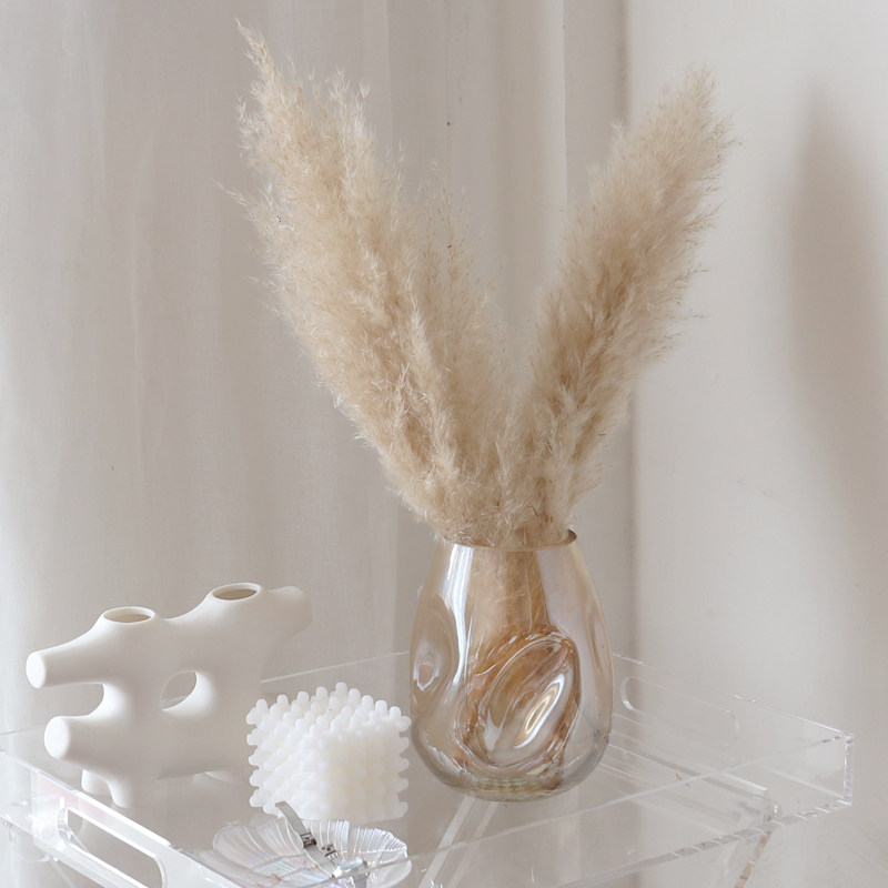 WULI HOME Shaped Irregular Brown Glass Vase Hydroponic Living Room Desktop Decoration Ornament Soft Display