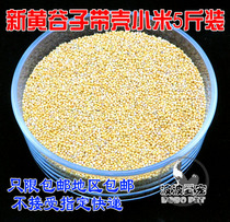 Parrot Feed Valley Subbird Grain Feed Tiger Leather Peony Peony with shell Xiaomi Yellow Valley Sub-bird grain 5 kilos