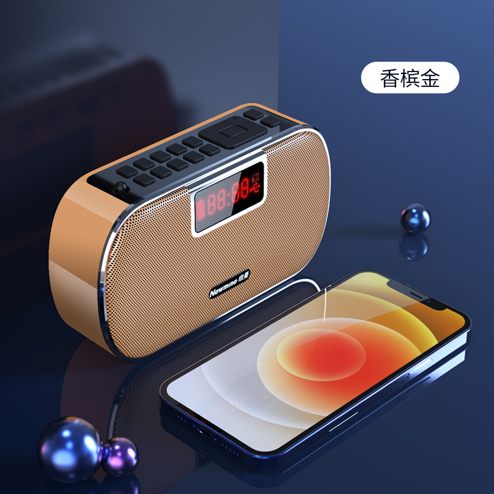 PL-88 Bluetooth Card Elderly Mini small sound box portable music player with body to listen