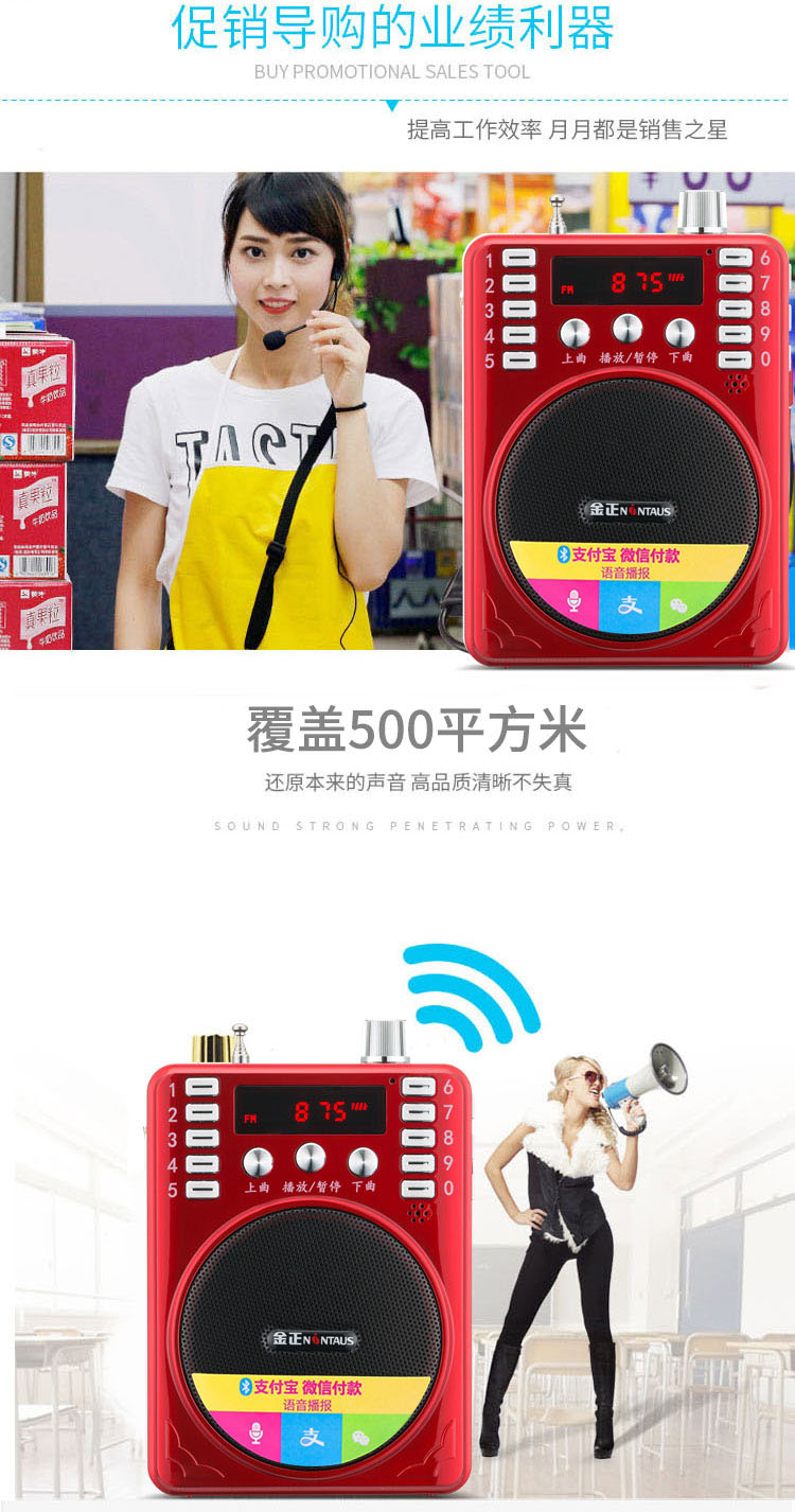 Jinzheng 207BT Phiên bản ghi âm Bluetooth của giáo viên loa ong chuyên dụng loa ngoài trời không dây - Trình phát TV thông minh đầu phát wifi