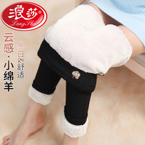 Sursa Cotton Pants Woman Winter Plus Suede Thickened Beat Underpants Wear High Waist Display Slim Northeast Integrated Lamb Suede Warm Pants