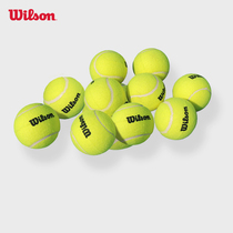 Wilson Wilson Tennis Bulk Professional Training Trainer Wilson Authentic Unstressed Tennis