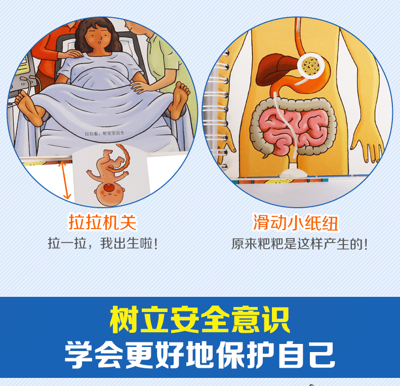 法国引进《我们的身体》儿童3D立体翻翻书 生理启蒙百科 图10