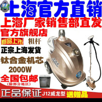 Teff Hanging Bronzing Machine Clothing Shop With Commercial Home J12 Weyron Twin Warm Steam Ironing Machine