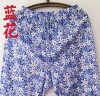 Синий цветок