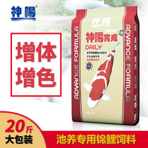 Shenyang Koi feed 20 Jin increased body red germ health care general type non-muddy water fattening fish food fish food