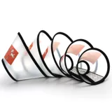 Элизабет Кружная собака и Кошка сражается с домашними животными, домашние животные мягкая шея рука