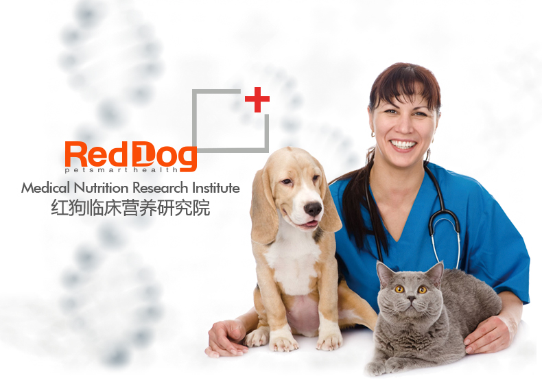 Reddog chó con chó màu đỏ mèo dầu cá vẻ đẹp kem lecithin dog tóc bột 120 gam phòng ngừa và điều trị các bệnh về da sản phẩm y tế sữa mèo