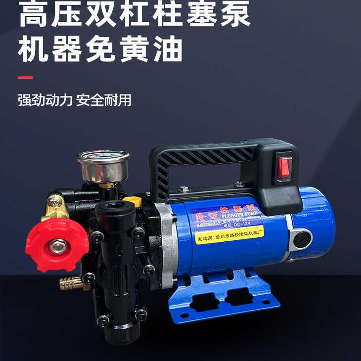 Agricultural High-Pressure Dual-Cylinder Plunger Sprayer Pump Longmai Portable 12V24V48V60V220V Electric Sprayer for Fruit Trees