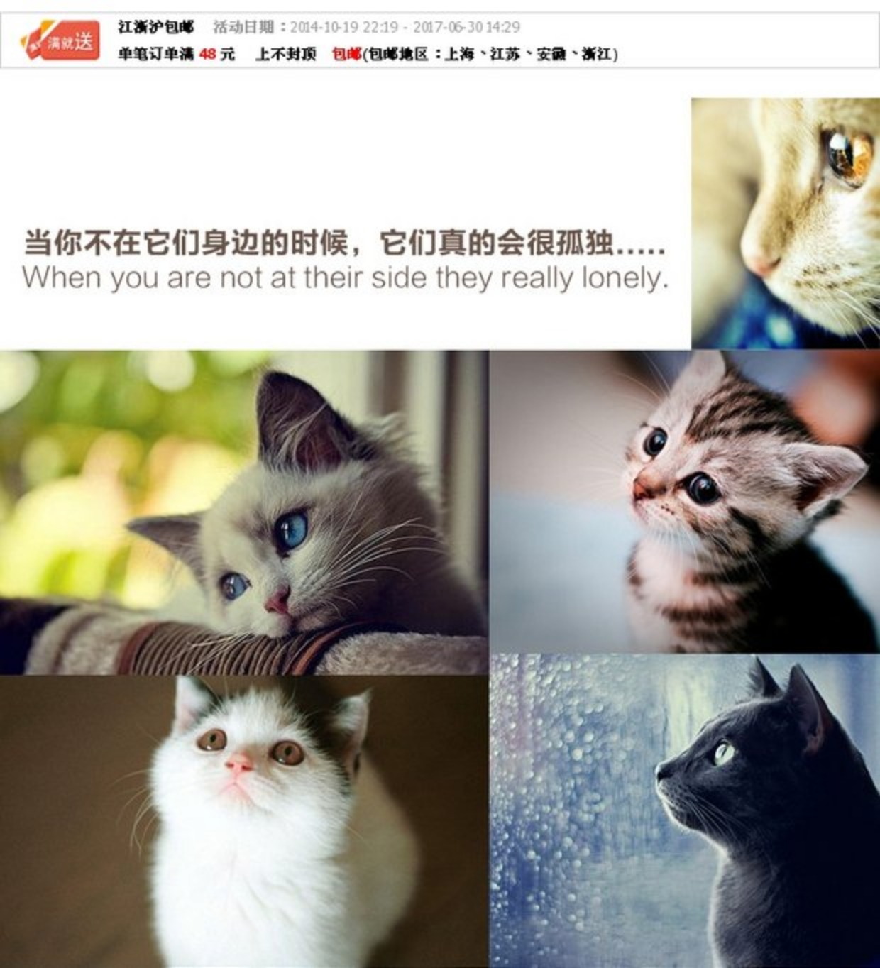 Mèo và chó đồ chơi mèo salu dây đồ chơi bóng làm bằng tay bóng con chó mèo đồ chơi màu sắc âm thanh bóng duy nhất cung cấp đặc biệt đồ chơi chó gặm xương