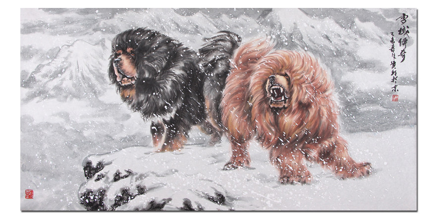 【即刻拍】伯原《雪域传奇》誉为中国一獒 带合影