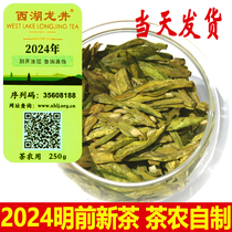 2024 Spring Tea West Lake Longjing New Чайный Чай Фермеры Прямая Продажа Ming Ming Forming Longing Jlonjing Специальный Уровень Чайный