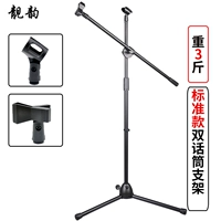 Стандартный двойной микрофон