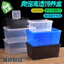 Reptile feeding box Creeper pet box Live silkworm baby spider horned frog snake lizard snail pet snake insect turtle jar