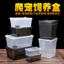 Reptile pet reptile feeding box gogong lizard spider snake snail centipede insect scorpion turtle horned frog feeding box