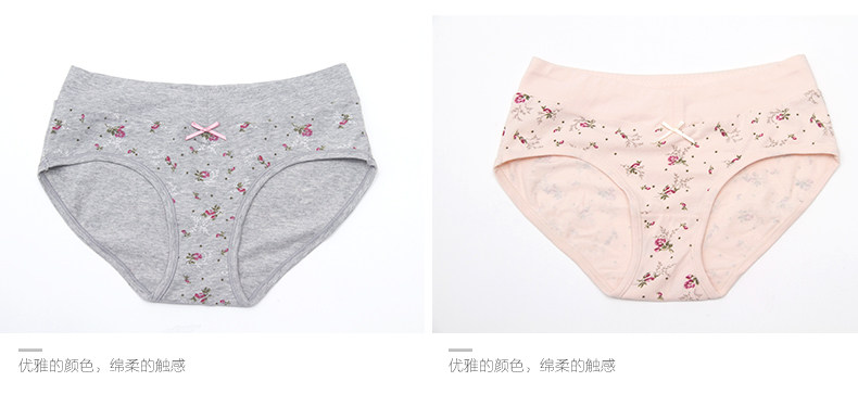 Slip Moyen-âge DNKWC-T6416-3 en coton - Ref 642304 Image 9