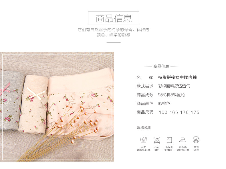 Slip Moyen-âge DNKWC-T6416-3 en coton - Ref 642304 Image 11