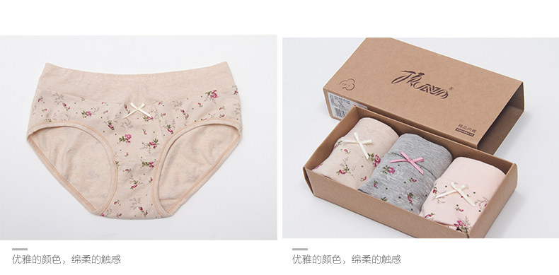 Slip Moyen-âge DNKWC-T6416-3 en coton - Ref 642304 Image 10