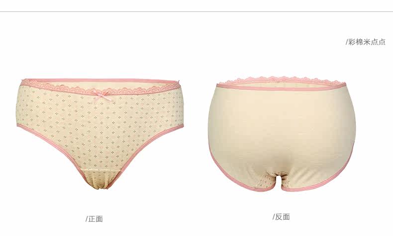 Slip jeunesse DNKWC-T6402-3 en coton - Ref 642177 Image 17