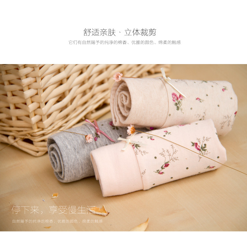 Slip Moyen-âge DNKWC-T6416-3 en coton - Ref 642304 Image 21