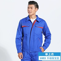 1803 Обновленная версия Royal Blue (внутренний край) топ