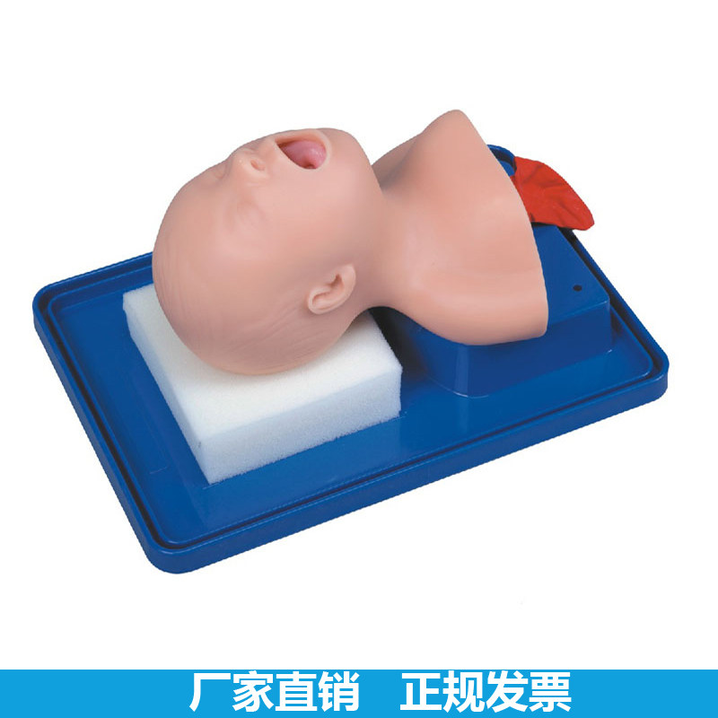 新生儿气管插管模型 急救模拟训练模型 医学培训模具