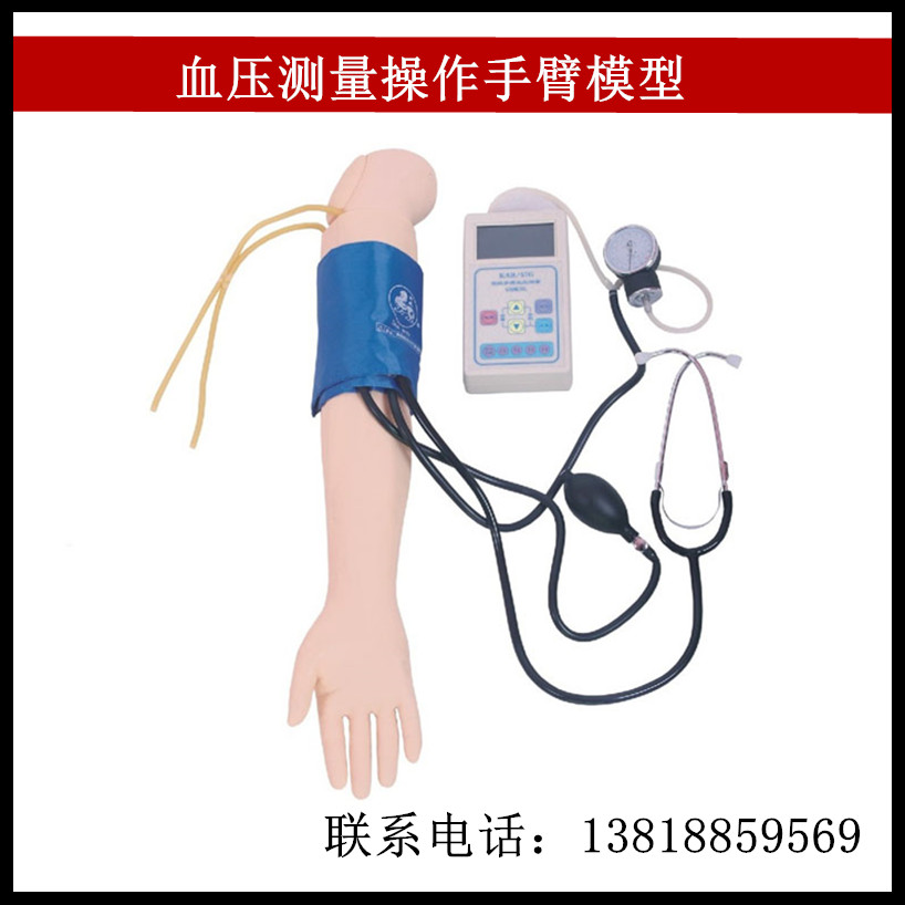 血压测量操作手臂模型