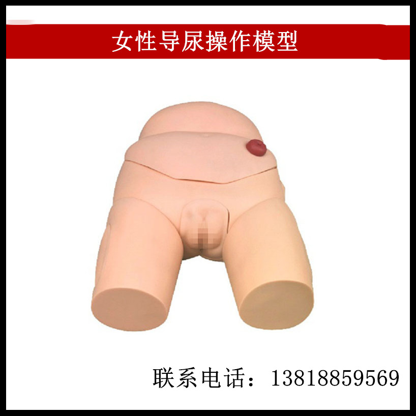 女性导尿操作模型 女性导尿示教模型