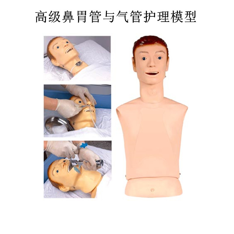 高级鼻胃管与气管护理模型 鼻胃管护理模型 鼻饲模型 护理教学